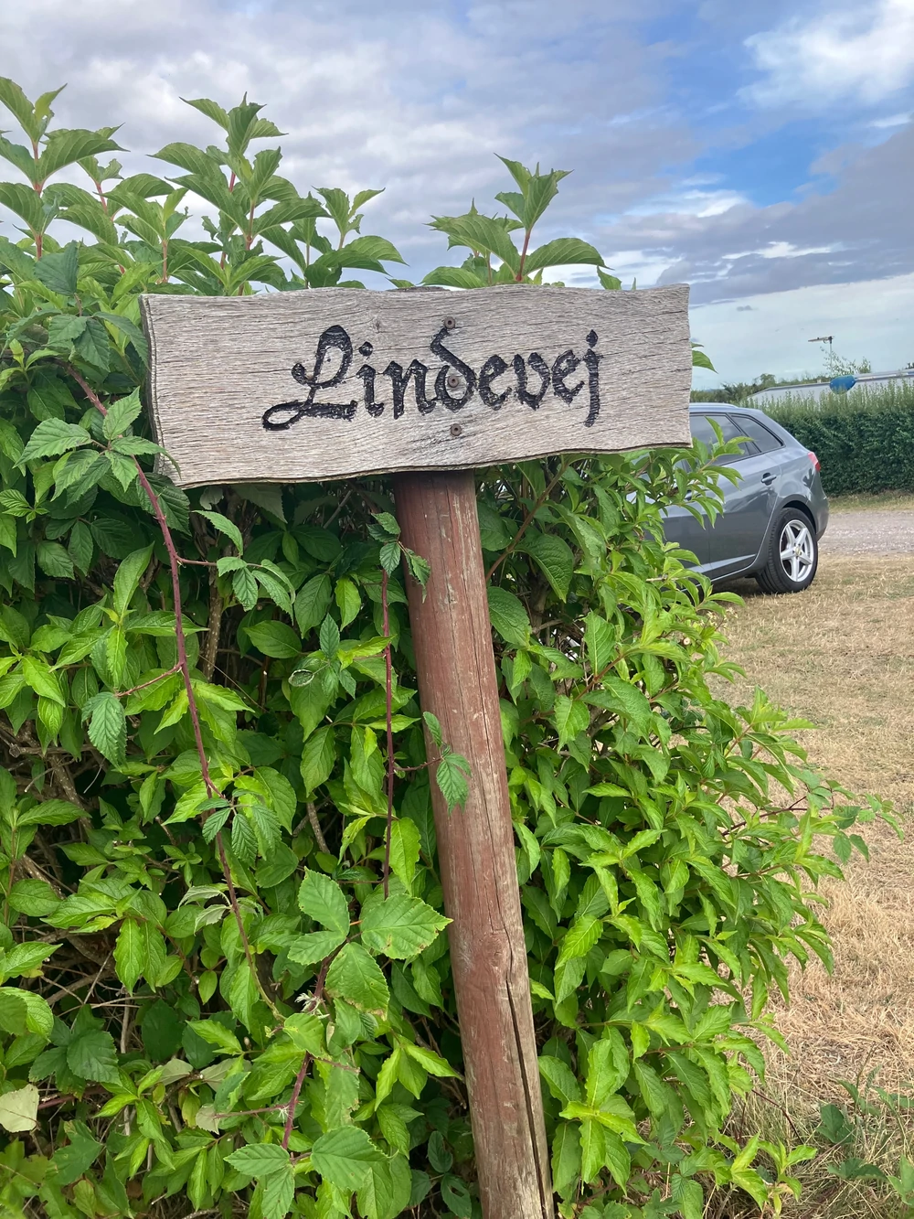 Lindevej